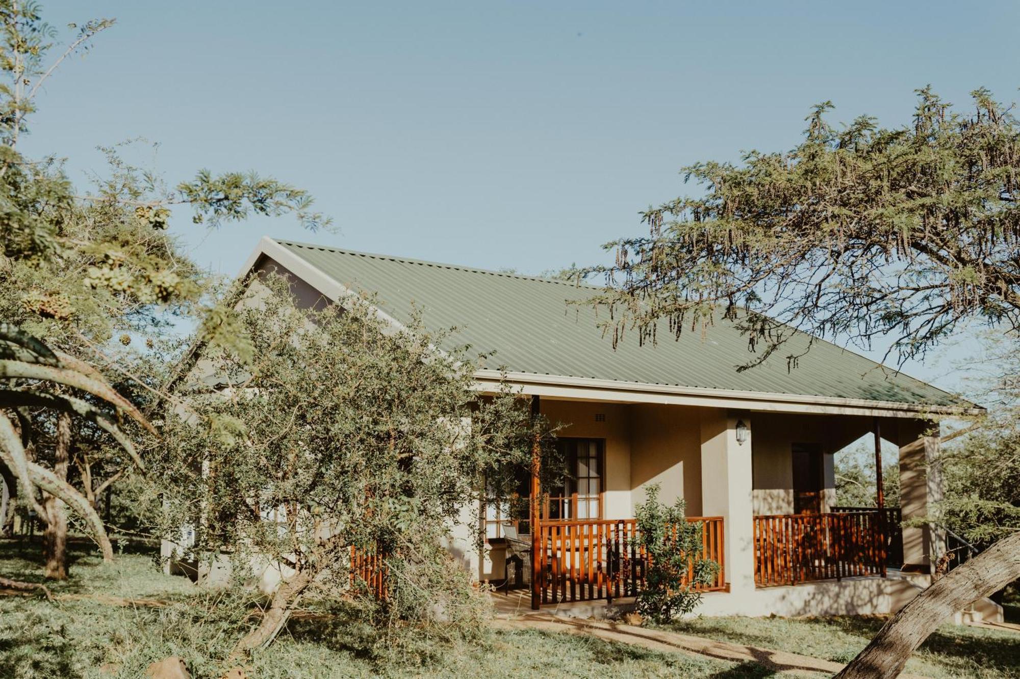 Lodge Duiker Game Hluhluwe